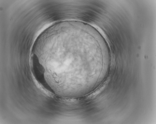 X0000088210957200706051254