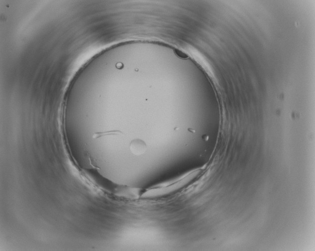 X0000088210958200706051254