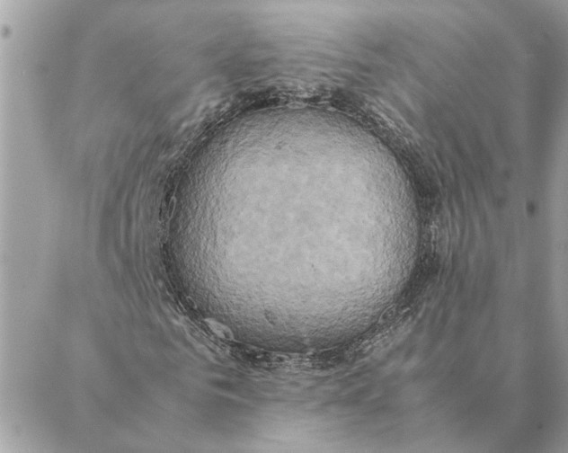 X0000088210961200706051253