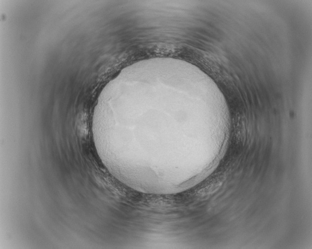 X0000088210962200706051253