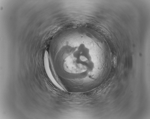 X0000088210963200706051253