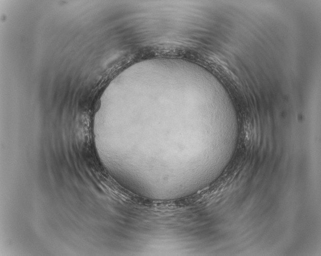 X0000088210964200706051253