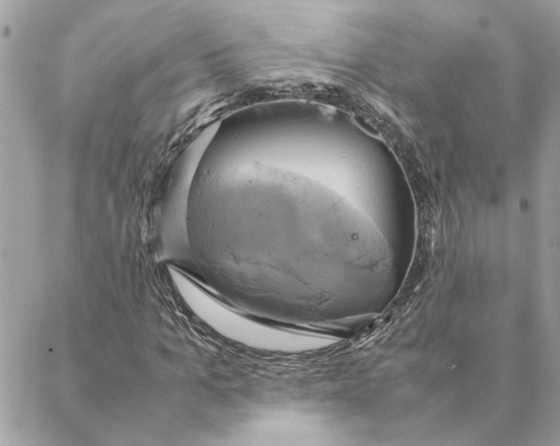 X0000088210965200706051253