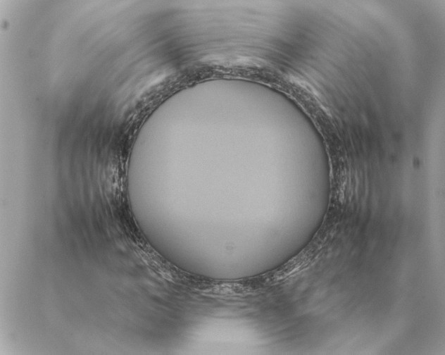 X0000088210966200706051253