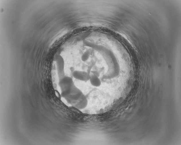 X0000088210967200706051253