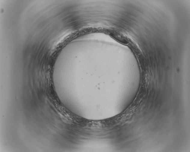 X0000088210968200706051253