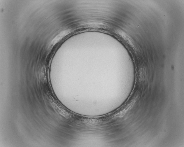 X0000088210970200706051253