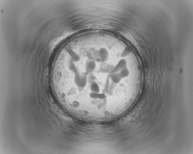 X0000088210971200706051253