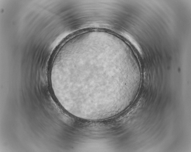 X0000088210972200706051253