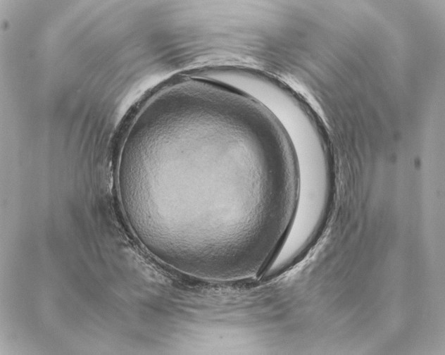 X0000088210973200706051253