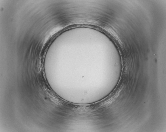 X0000088210974200706051253