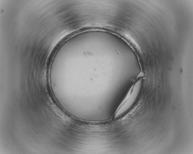 X0000088210976200706051253