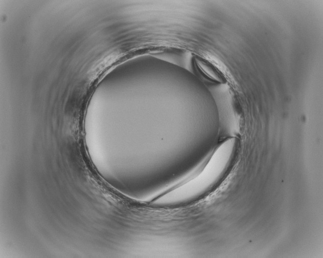 X0000088210977200706051253