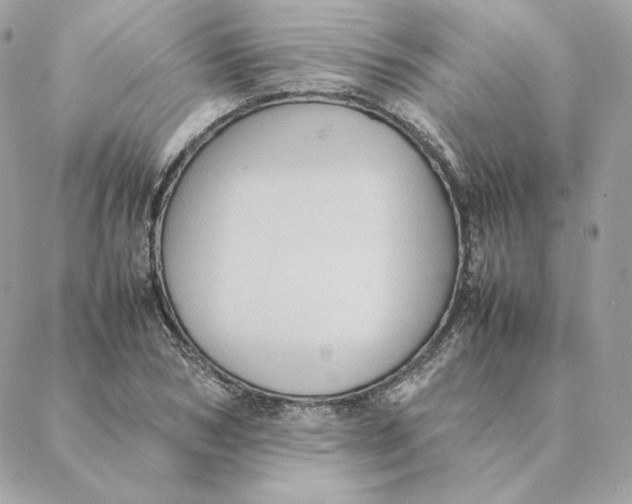 X0000088210978200706051252