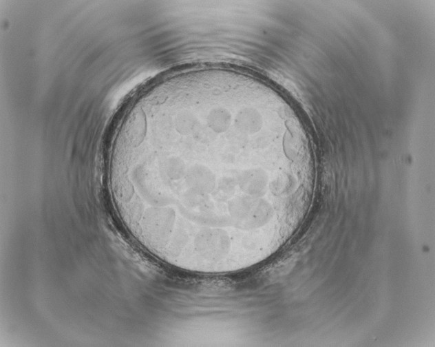 X0000088210979200706051252