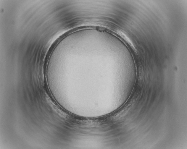 X0000088210980200706051252