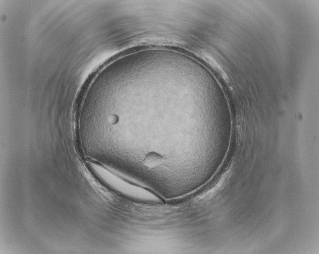 X0000088210981200706051252