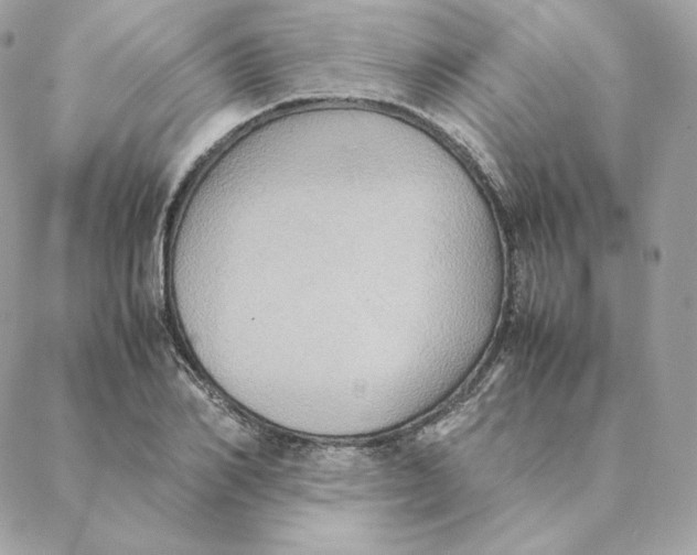 X0000088210982200706051252