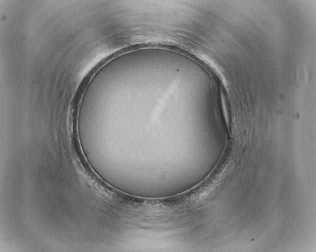 X0000088210983200706051252