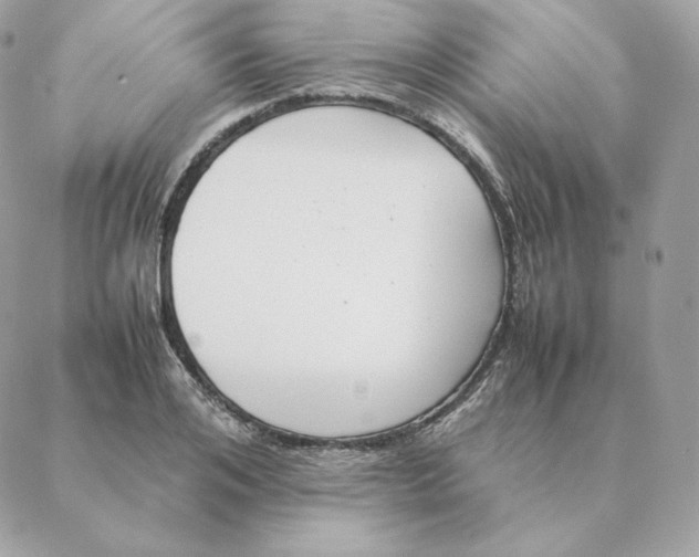 X0000088210984200706051252