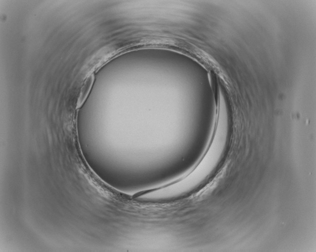 X0000088210985200706051252