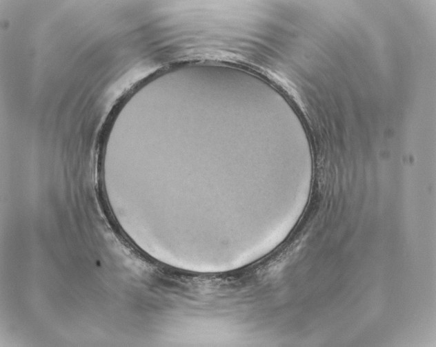 X0000088210987200706051252