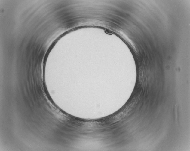 X0000088210988200706051252