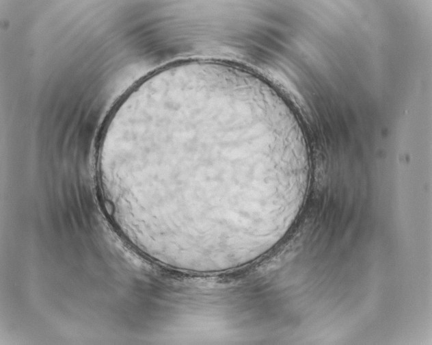 X0000088210990200706051252