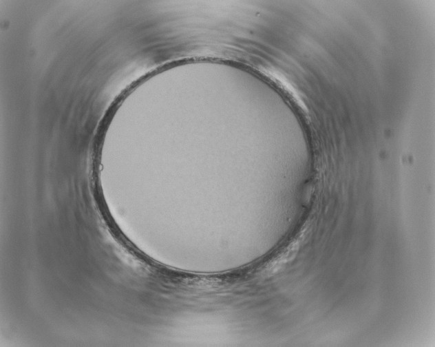 X0000088210991200706051252