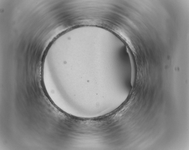 X0000088210992200706051252