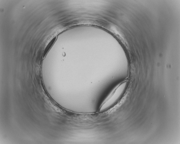 X0000088210993200706051252