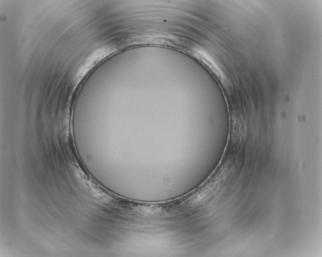 X0000088210994200706051252