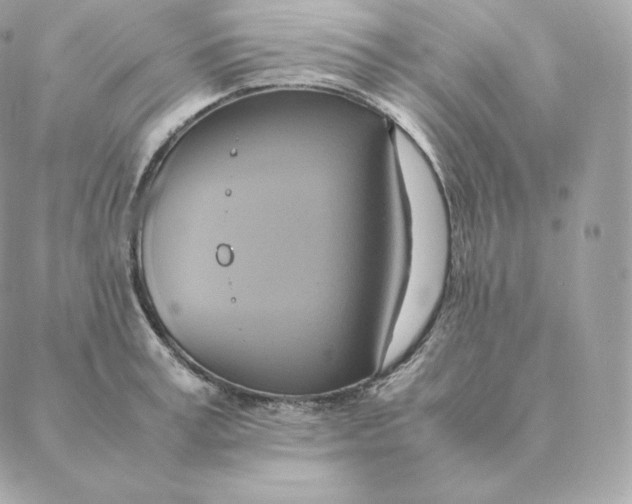 X0000088210995200706051252