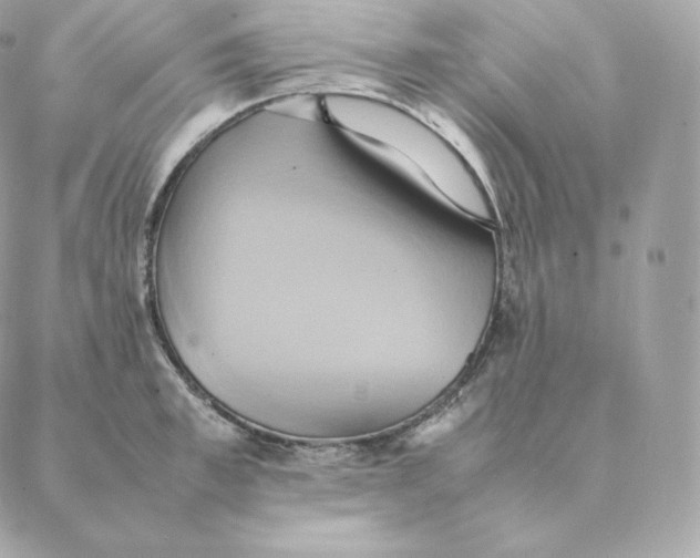 X0000088210997200706051252