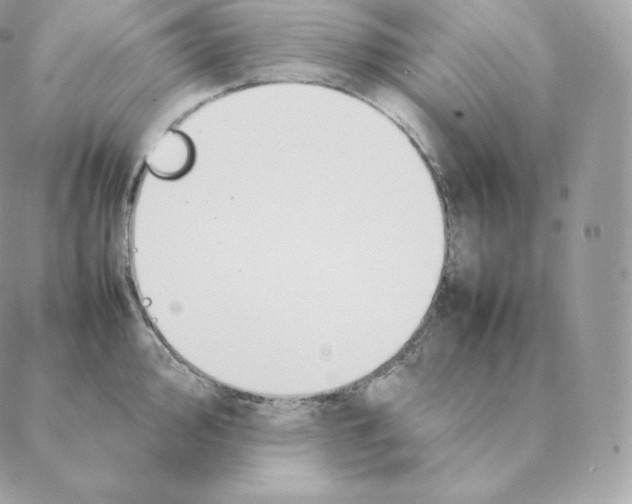 X0000088211000200706051252