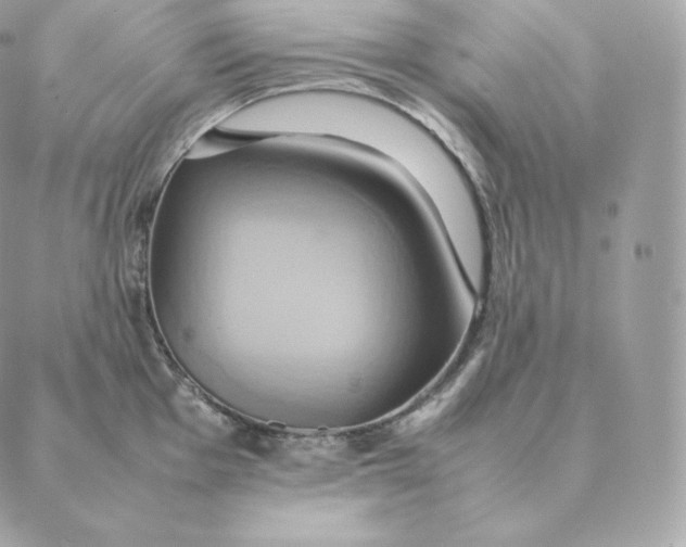 X0000088211001200706051252