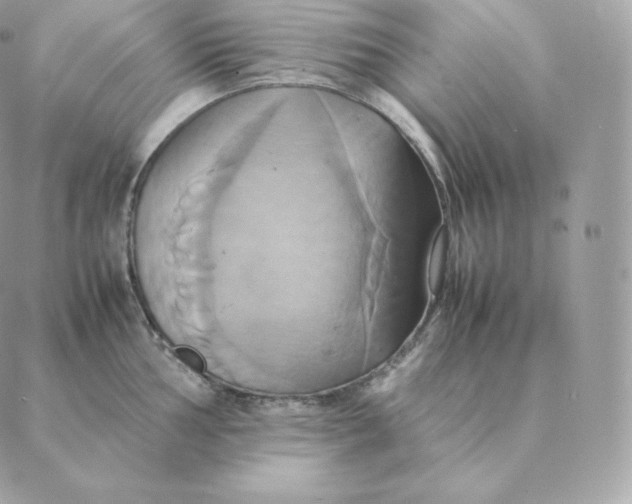 X0000088211002200706051252