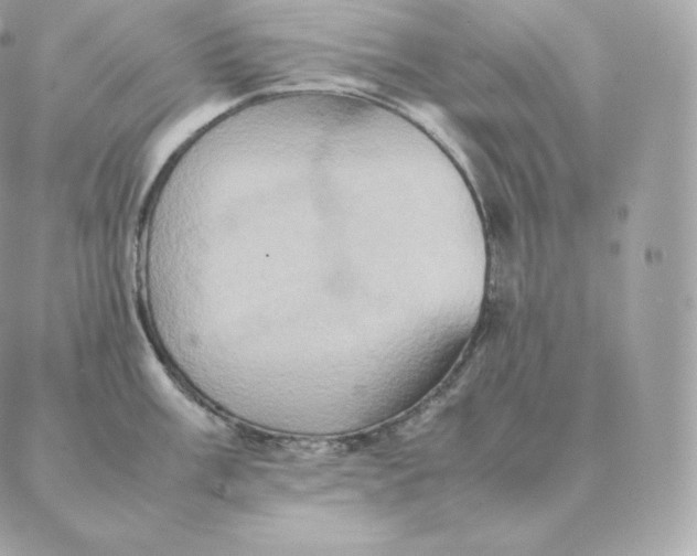 X0000088211003200706051252