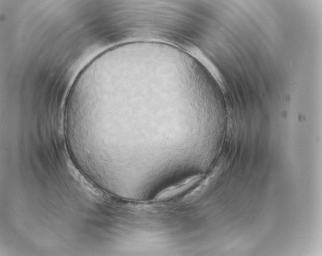 X0000088211004200706051252