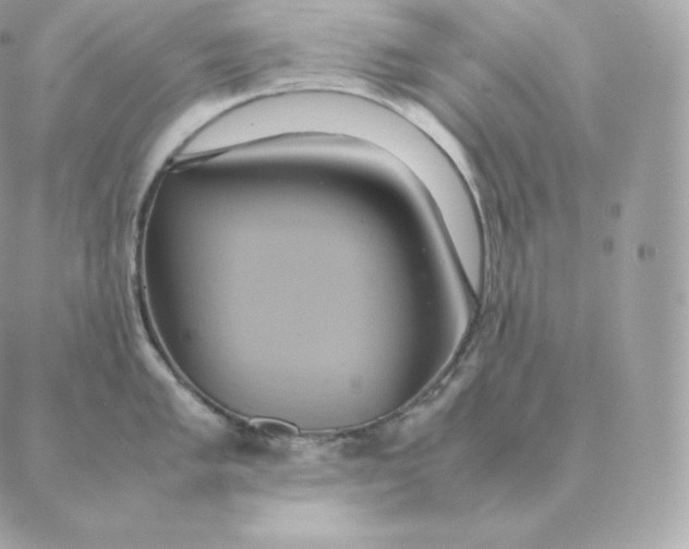 X0000088211005200706051252