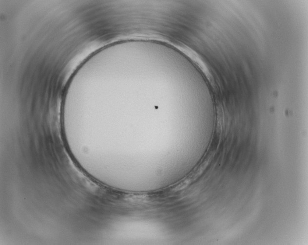 X0000088211006200706051252