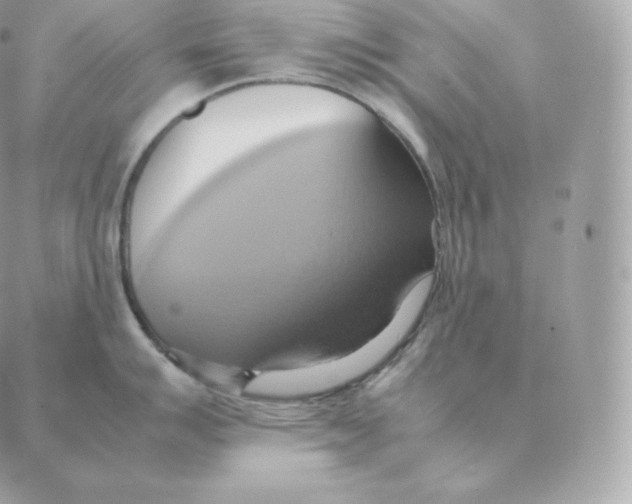 X0000088211007200706051252