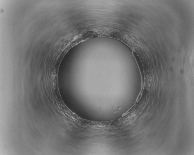 X0000088211010200706051251