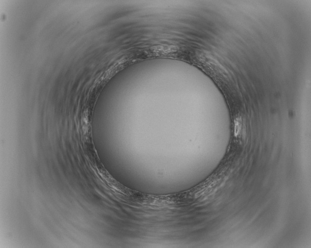 X0000088211011200706051251