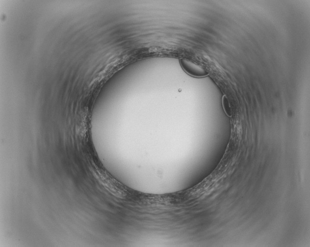 X0000088211012200706051251