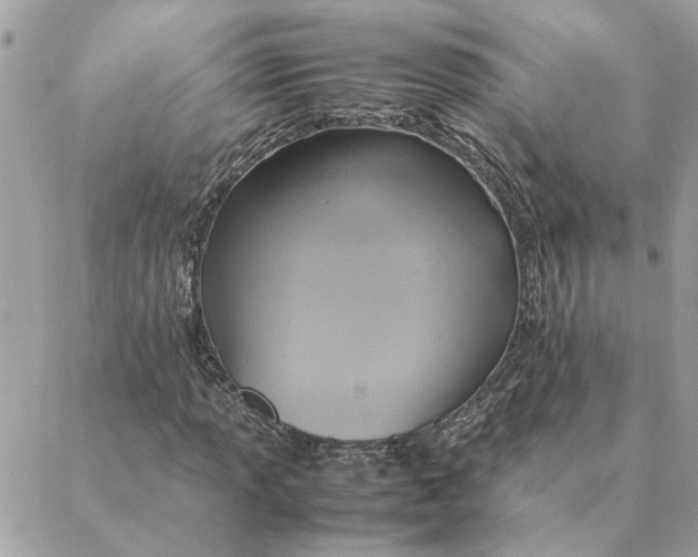 X0000088211013200706051251