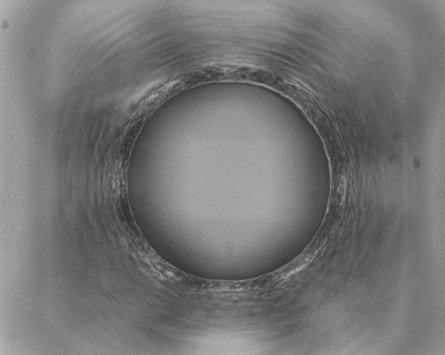 X0000088211014200706051251