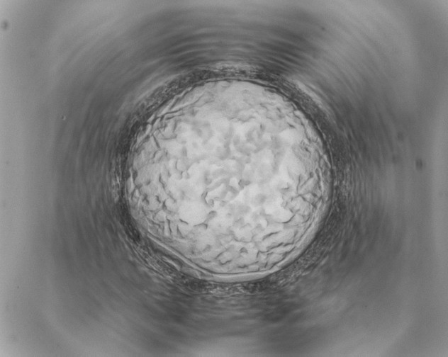 X0000088211015200706051251