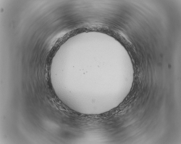 X0000088211016200706051251