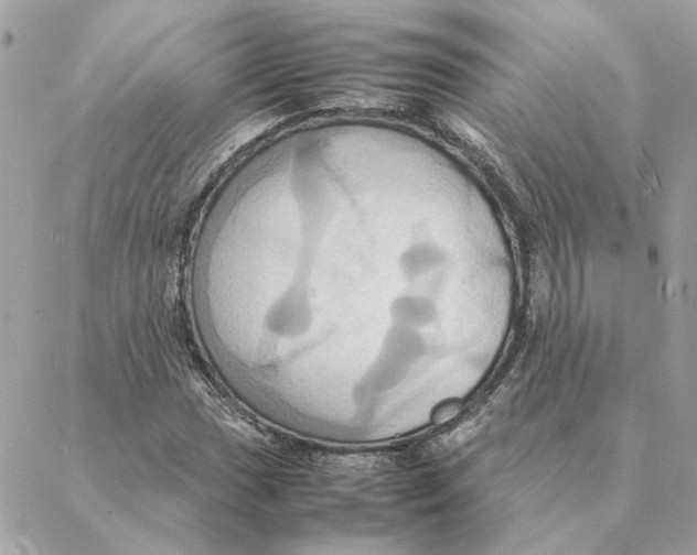 X0000088211017200706051251